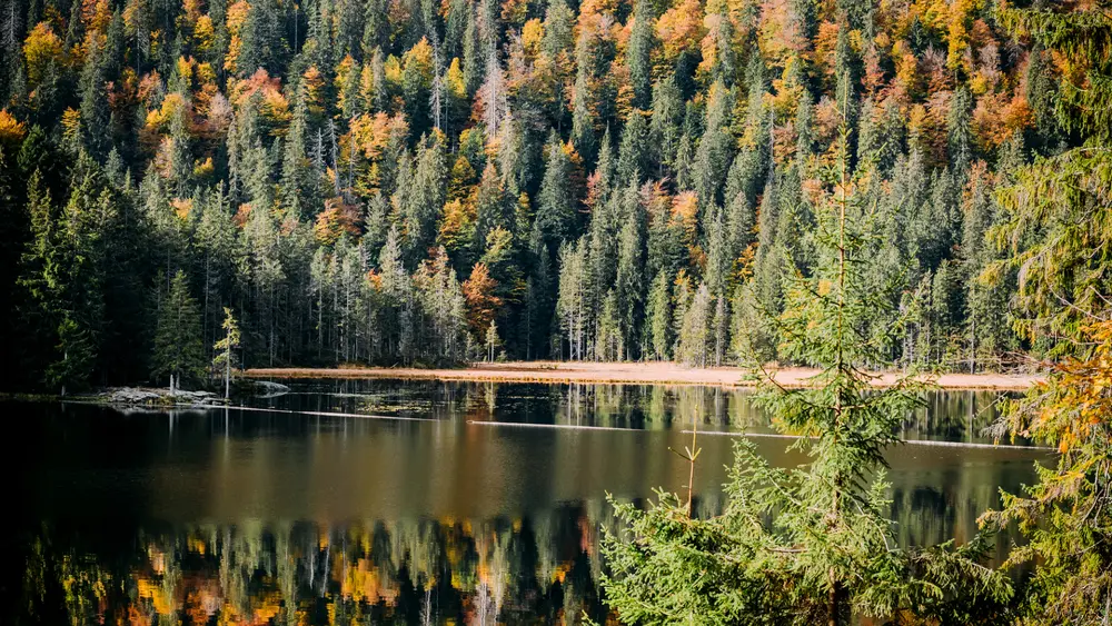 Arbersee