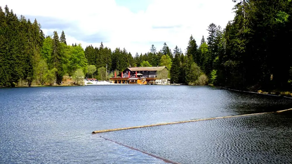 Blick über den Großen Arbersee und das Seehäusl