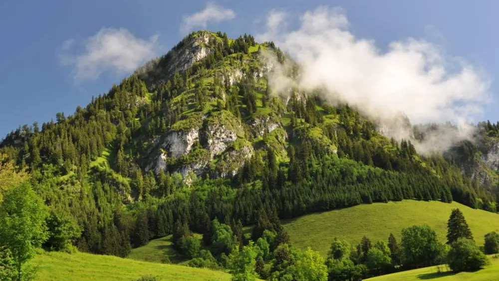Blick auf den Hirschberg bei Bad Hindelang