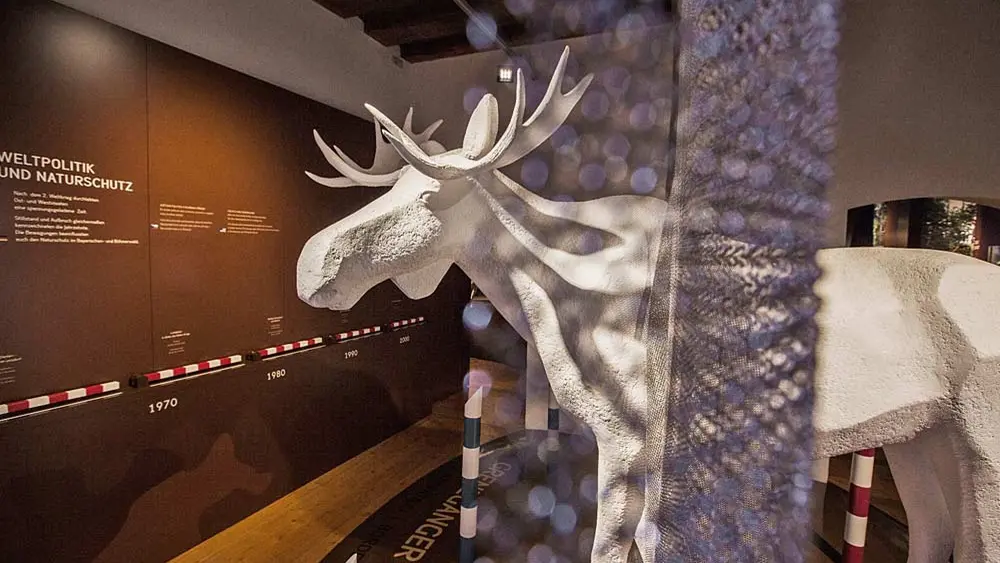 Ausstellung im Museum Jagd Land Fluss in Schloss Wolfstein/Freyung