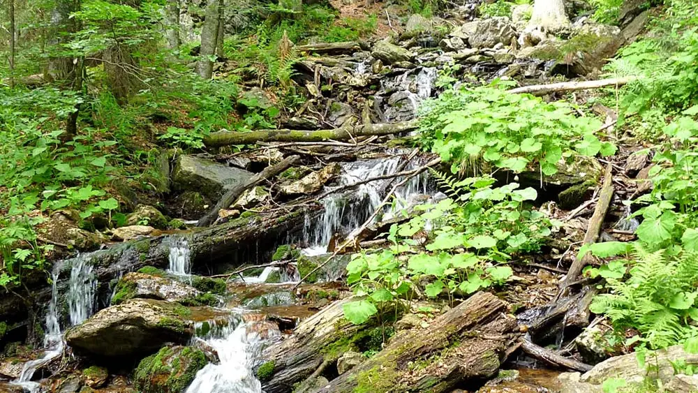 Höllbach im Höllbachgspreng bei Lindberg