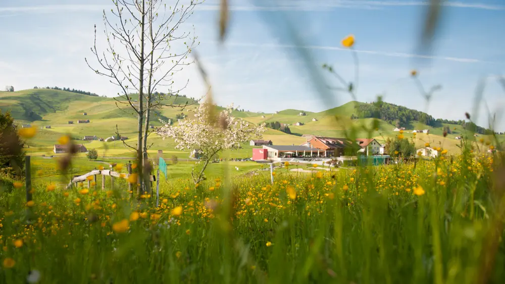 Golfen im Hochtal von Gonten im Appenzeller Land