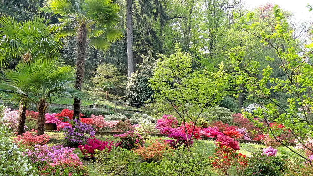 Bäume und Blumen in den Botanischen Gärten der Villa Taranto in Pallanza-Verbania