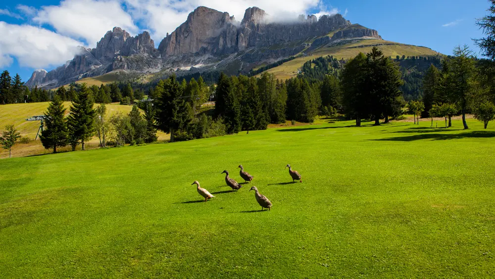 Golf Club Carezza