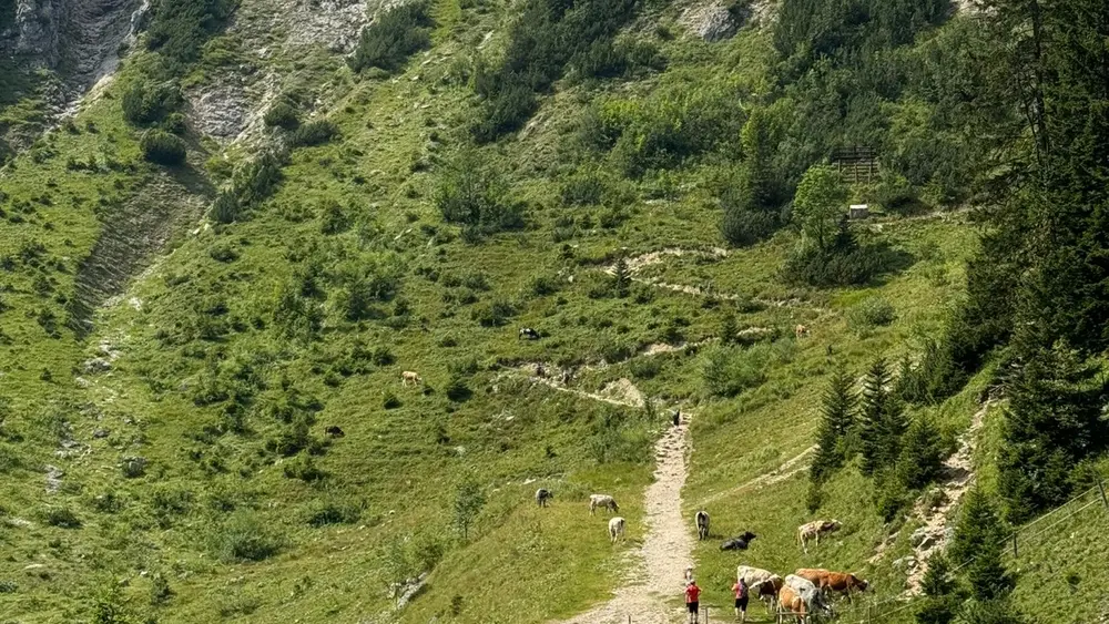Kurz vor der Bergstation des Tegelbergs