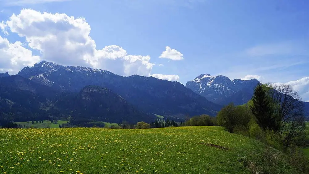 Blick auf Tegelberg, Rohrkopf und Säuling bei Schwangau