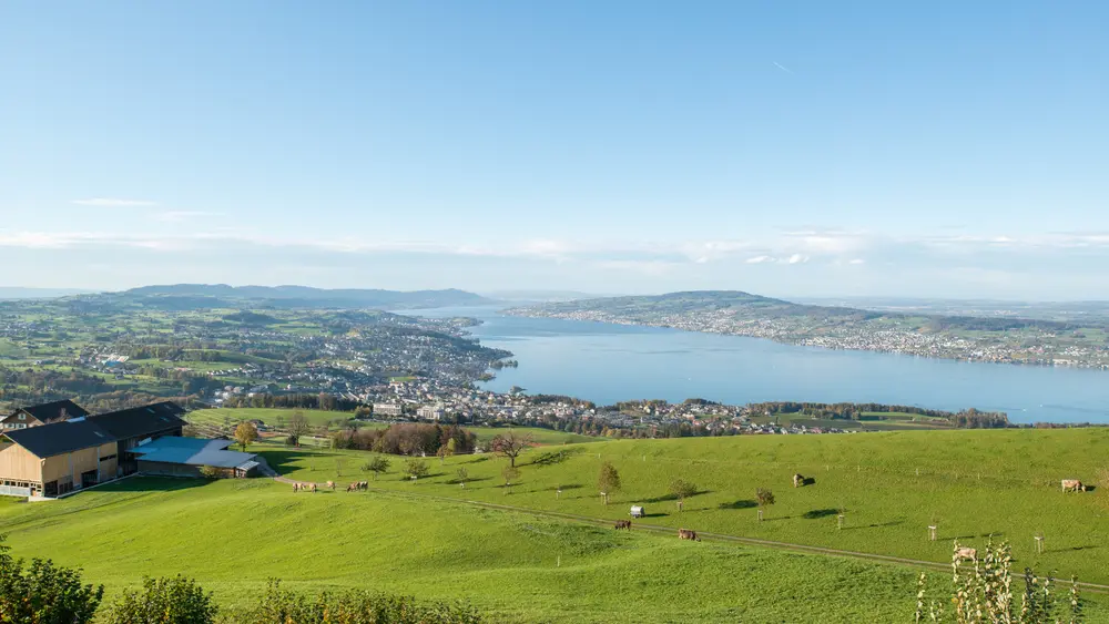 Blick auf den Zürichsee