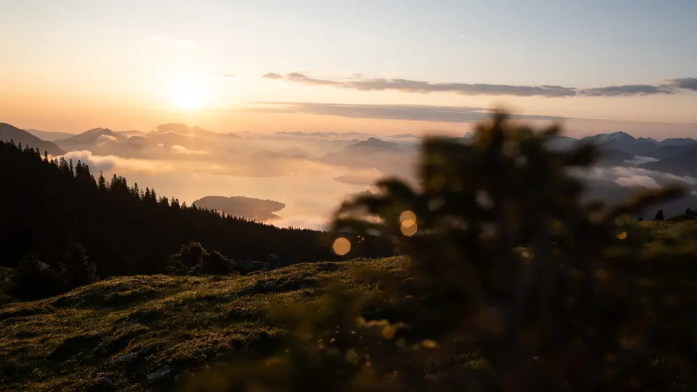 Blick auf den Walchensee