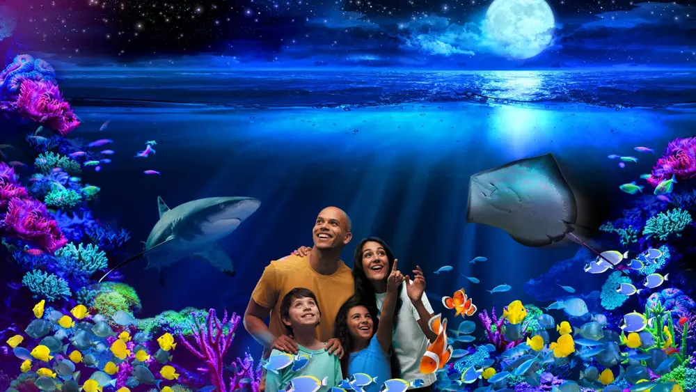 Erlebe das Meer bei Nacht!