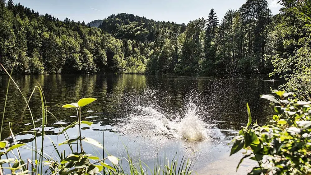 Blick auf den Naturbadesee Pfrillsee bei Kufstein