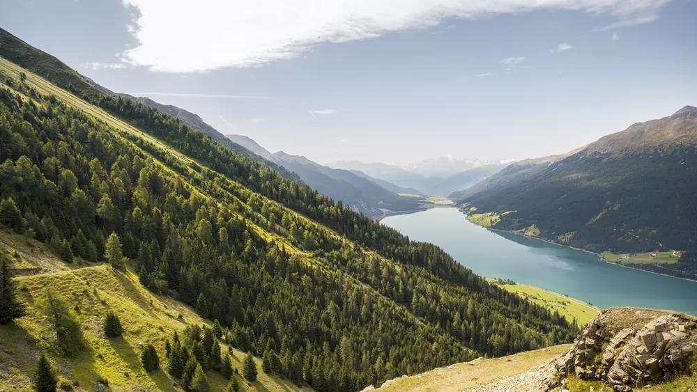 Blick auf den Reschensee