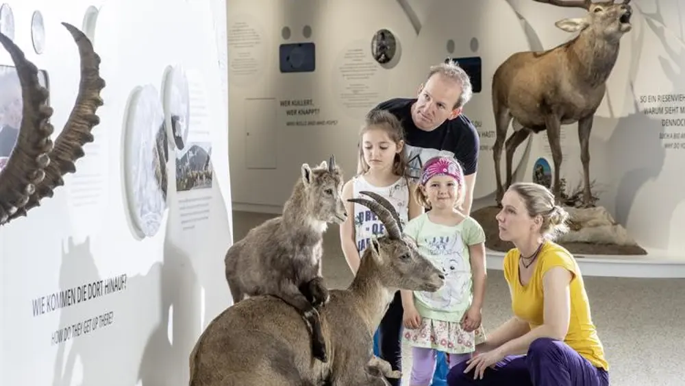 Im BIOS Nationalparkzentrum Mallnitz