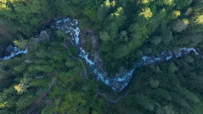 Groppensteinschlucht