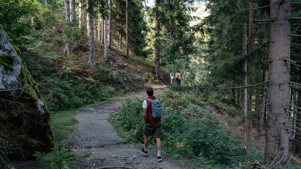 Wandern durch die Groppensteinschlucht
