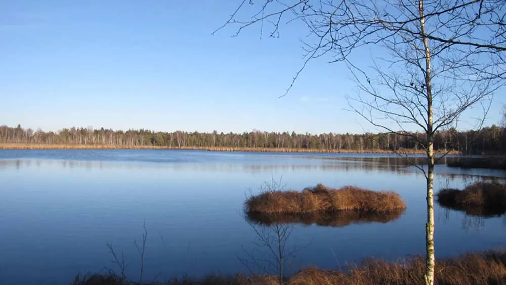 Blick auf einen See im Naturschutzgebiet Wurzacher Ried