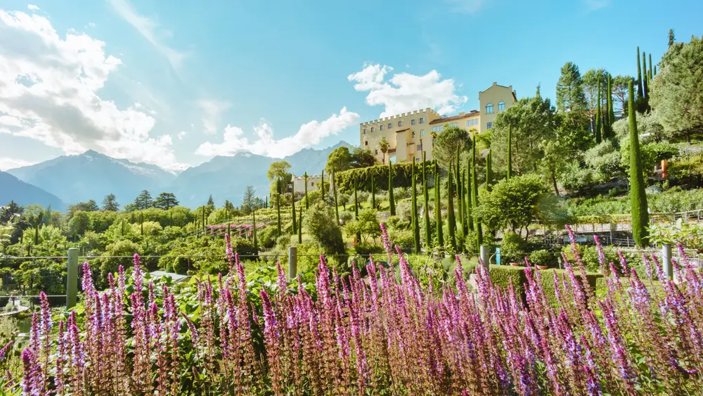 Spätsommer in den Gärten von Schloss Trauttmansdorff