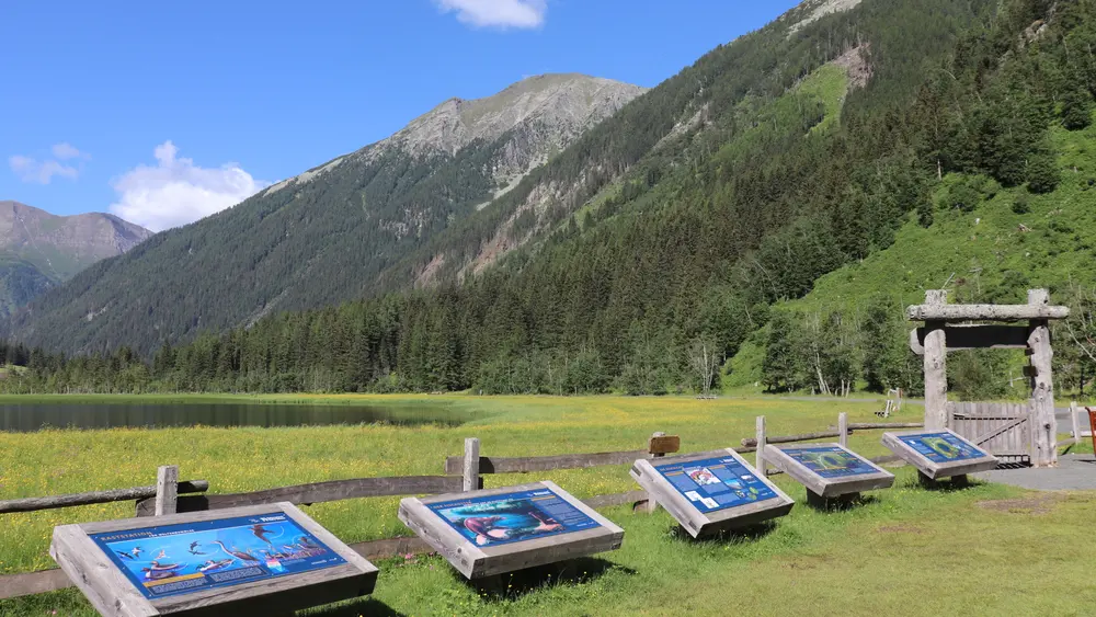 Info-Tafeln am Stappitzer See