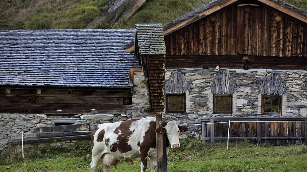 Blick auf das Lucknerhaus