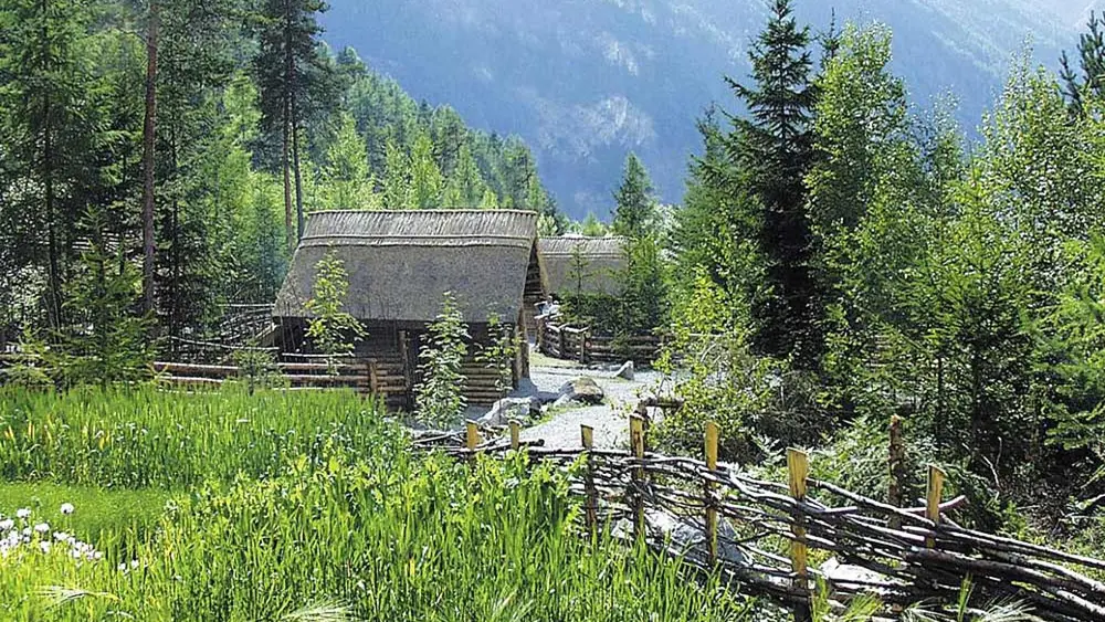 Blick auf das Getreidefeld im Ötzidorf bei Umhausen