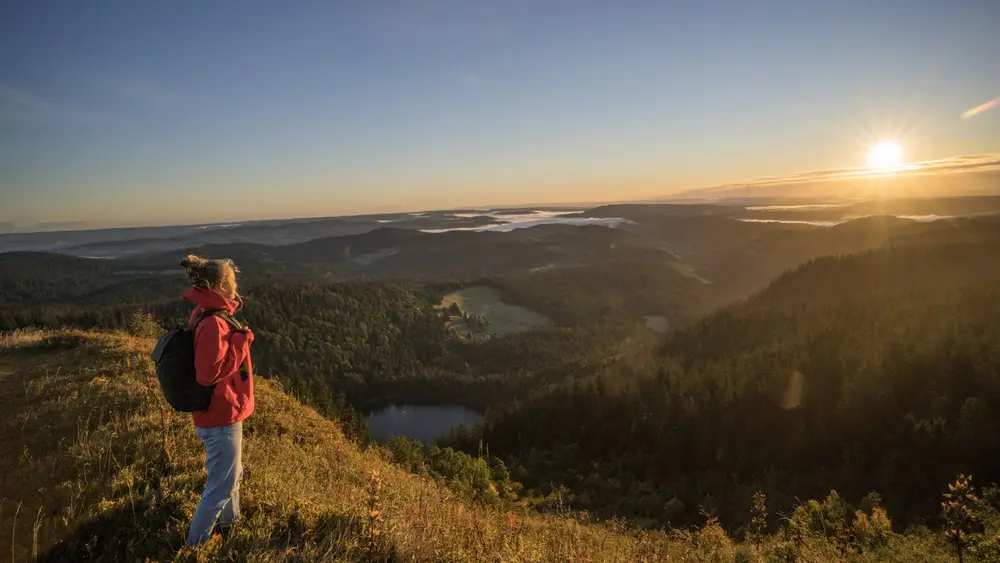 Blick vom Feldberg auf den Feldsee