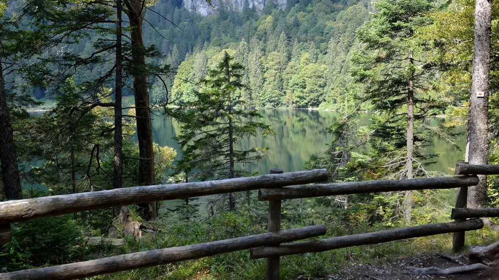 Der Feldsee ist ein See am Fuße des Feldbergmassivs im Hochschwarzwald