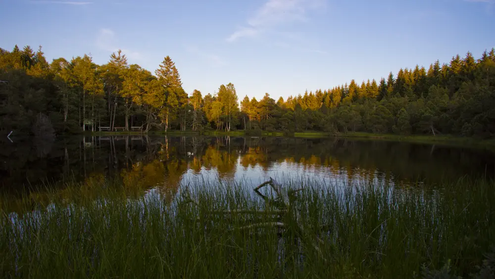 Blindensee bei Schonach