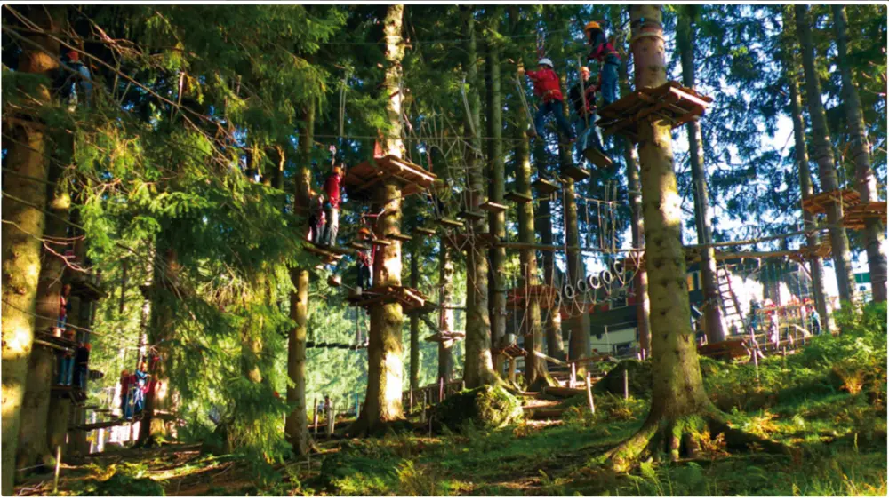 Kinder klettern an einer Station im Kletterwald Bärenfalle