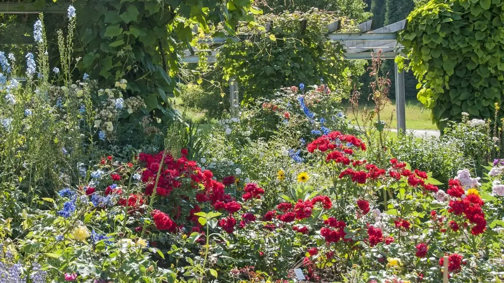 Botanischer Garten Ulm