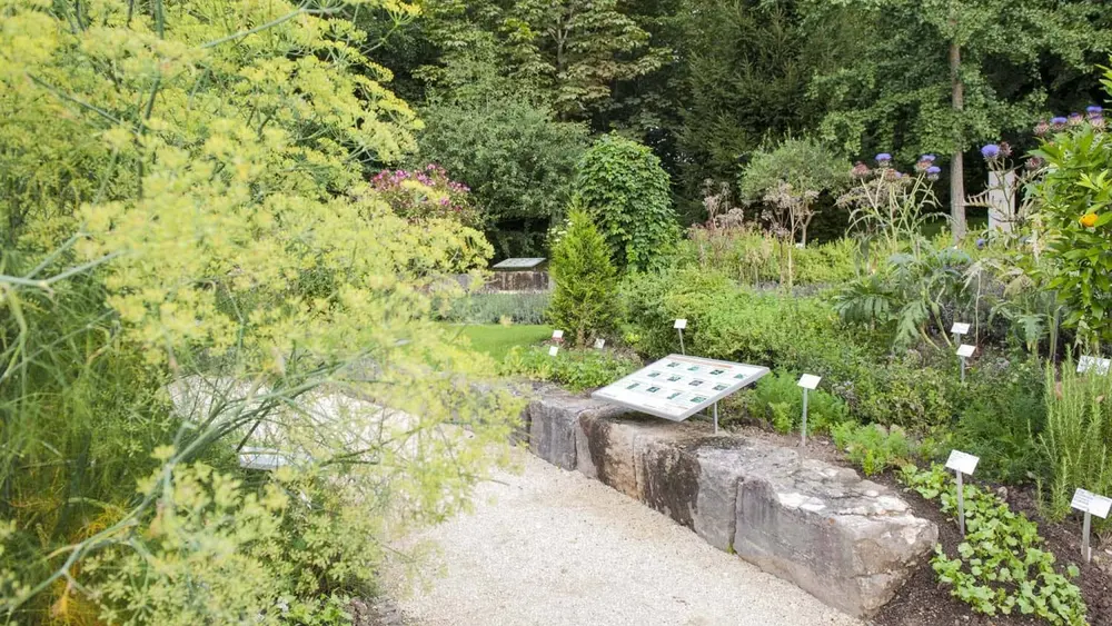 Botanischer Garten Ulm