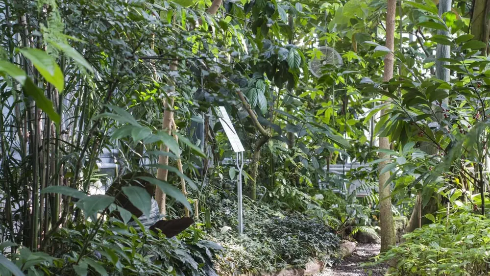 Botanischer Garten Ulm