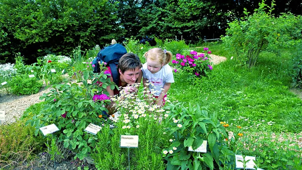 Duftender Kräutergarten im Naturerlebnis Holdamoos bei Au-Schoppernau