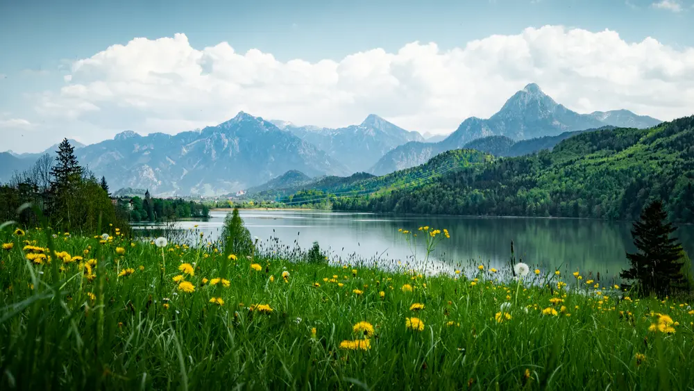 Das Foto darf nur in einer Berichterstattung über die Tourismusdestination Füssen im Allgäu oder für Werbezwecke für die Tourismusdestination Füssen im Allgäu verwendet werden. Entweder direkt beim Fo