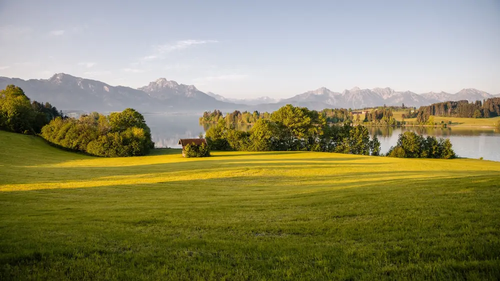 Am Ufer des Forggensees