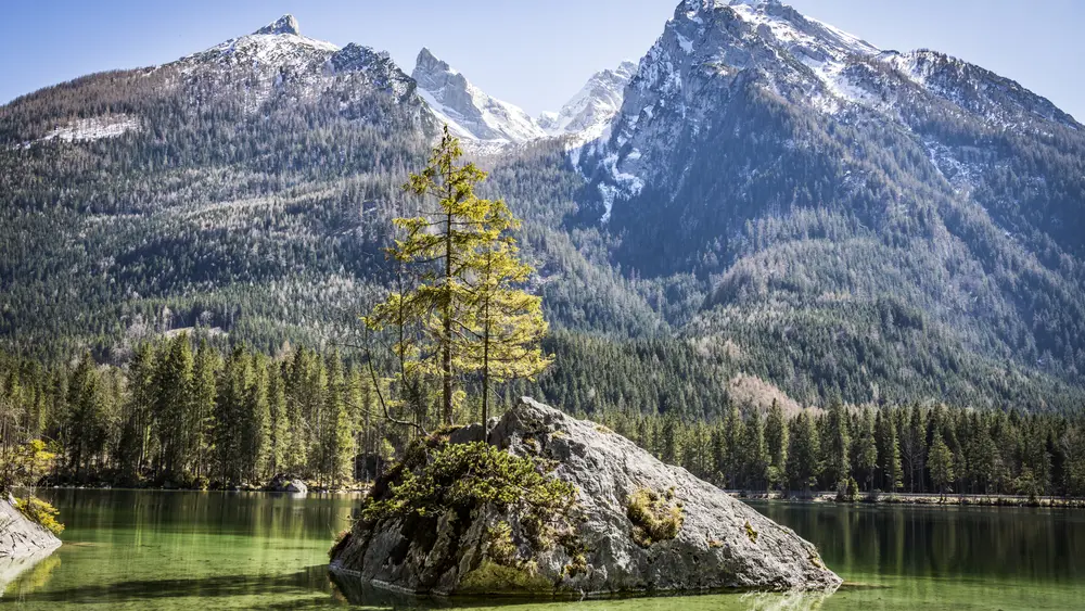 Blick auf den Hintersee im Frühling