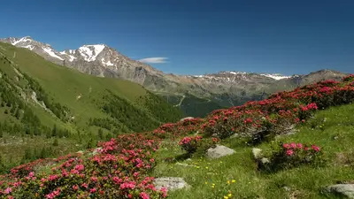 Naturschutzgebiet Alto Noce