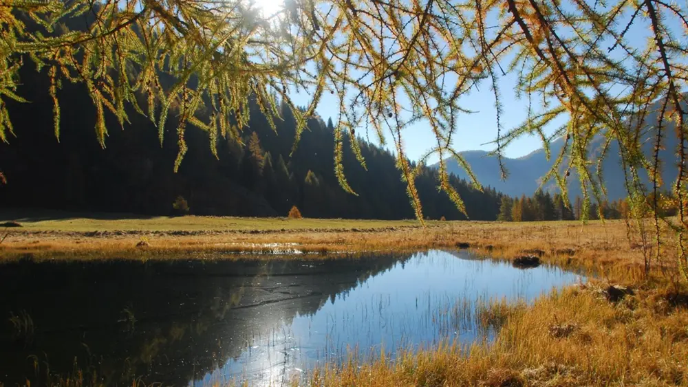 See in der unberührten Natur des Naturschutzgebiets Alto Noce