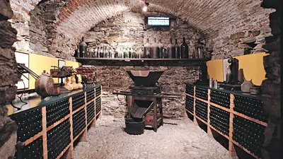 Museo del Vino