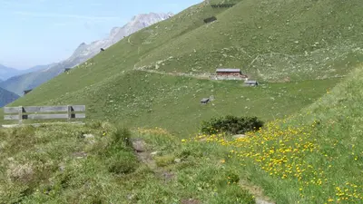 Alpenblumenweg Oberseite