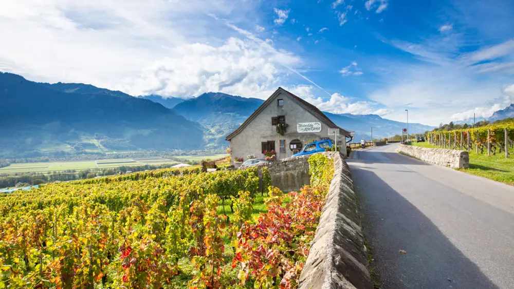 Blick auf ein Weingut und die Berge in der Bündner Herrschaft
