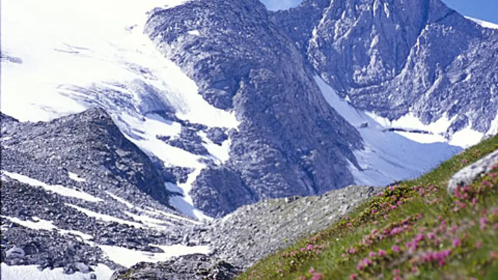 Wildgerlostal Blick zur Reichenspitzgruppe