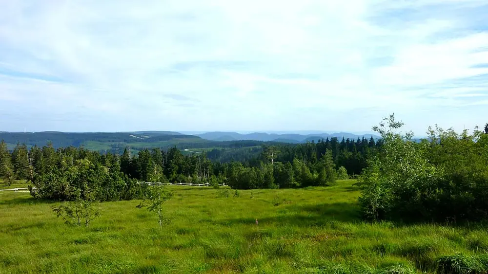 Aussicht vom Schliffkopf nach Süden