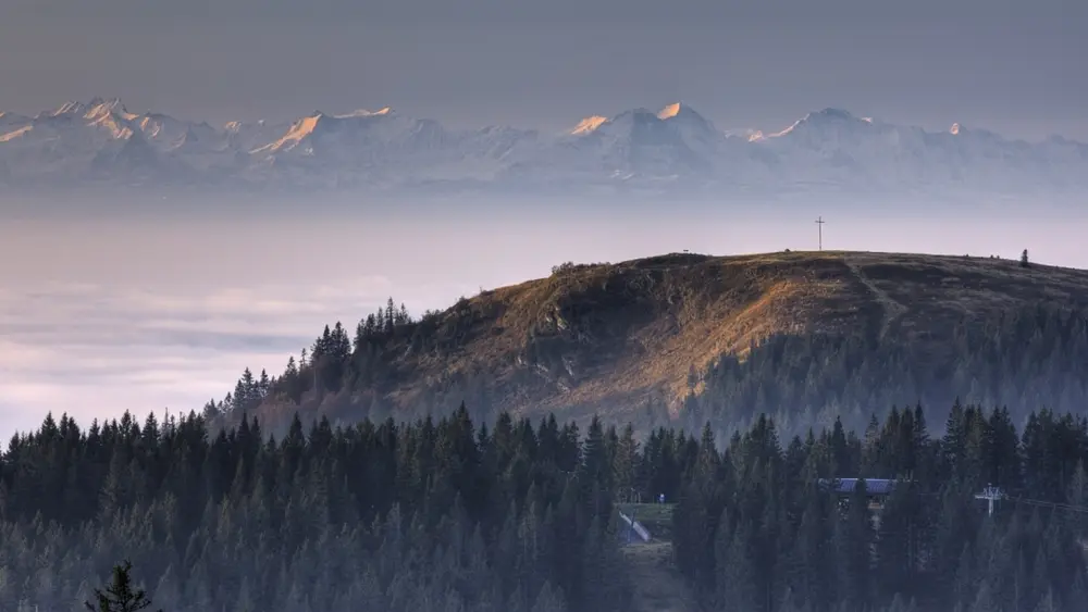 Blick vom Feldberg auf das Herzogenhorn und die Alpen