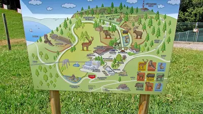 Alpenwildpark Pfänder