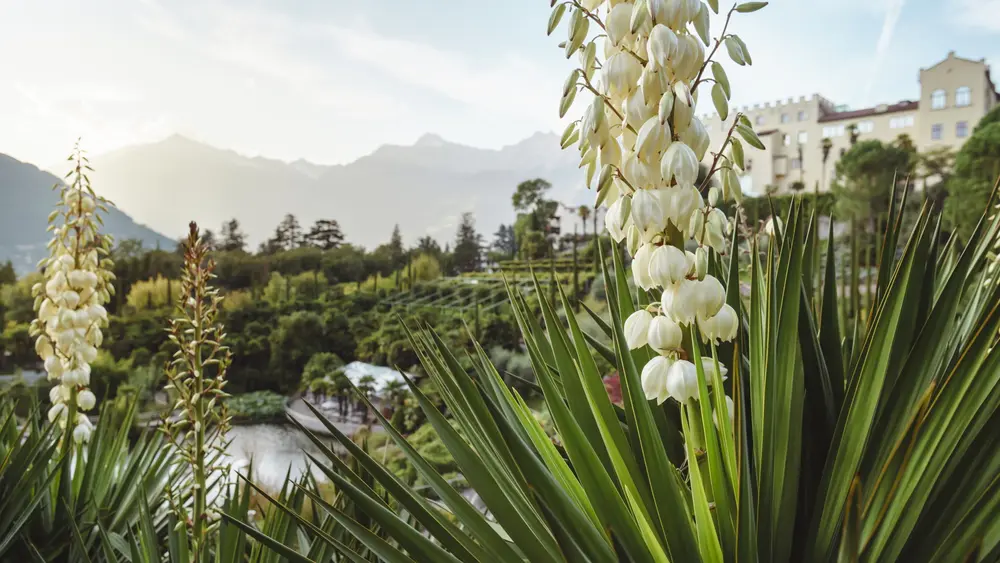 Schloss Trauttmansdorff