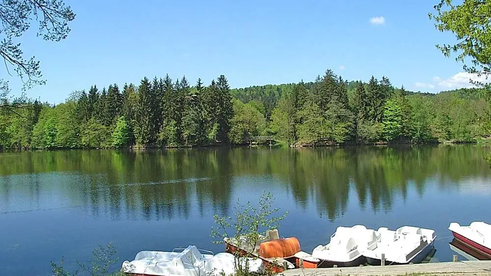 Blick auf das Ostufer des Dreiburgensees