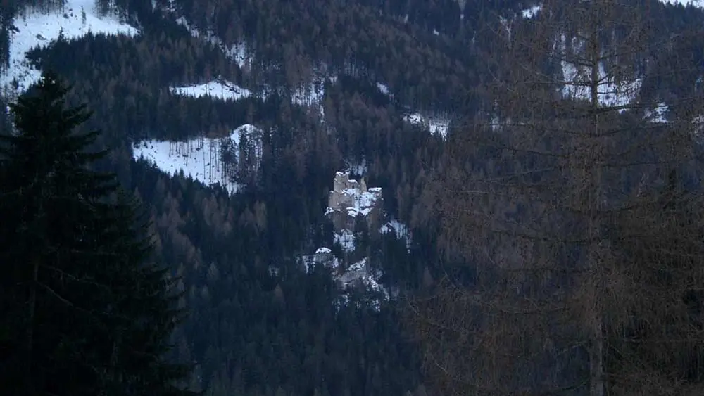 Blick auf die von Wäldern umgebene Burg Hauenstein