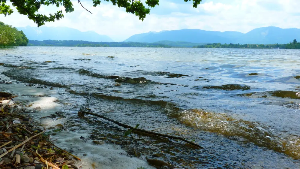 Ufer des Staffelsees