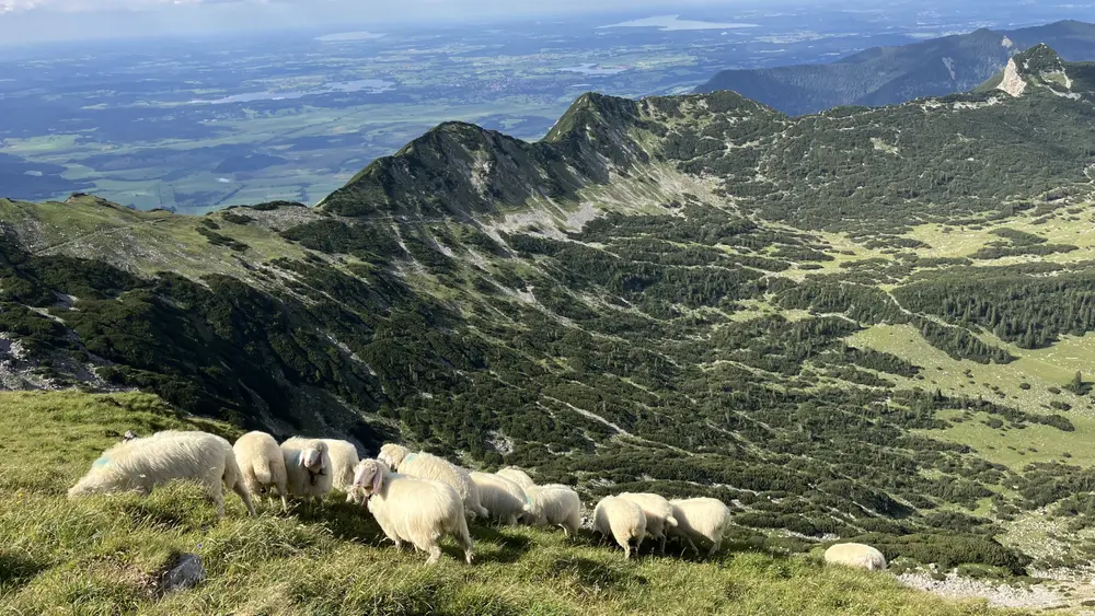 Wanderung zum Krottenkopf