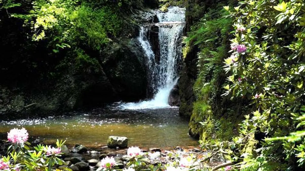 Geroldsauer Wasserfall bei Baden-Baden