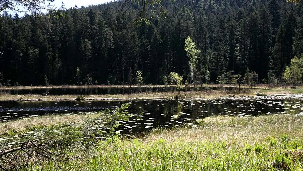 Huzenbacher See in Baiersbronn